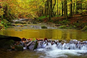 Hotelik Ustrzycki. Hej w Biesczady, w ich nieodkrytą do końca nature.