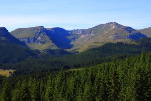 Wieża widokowa – Pruchnik