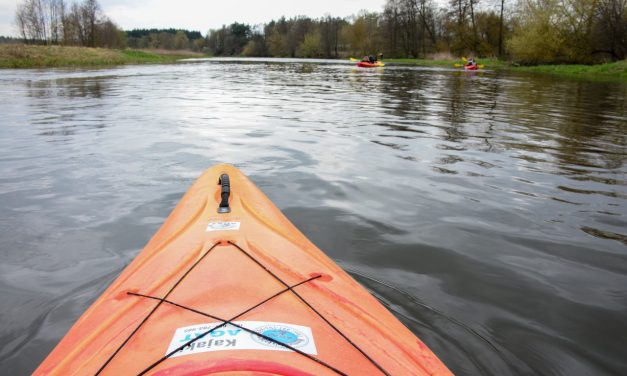 Spływy Kajakowe dla Szkół Wkrą: Niezapomniana Przygoda i Edukacja na Łonie Natury