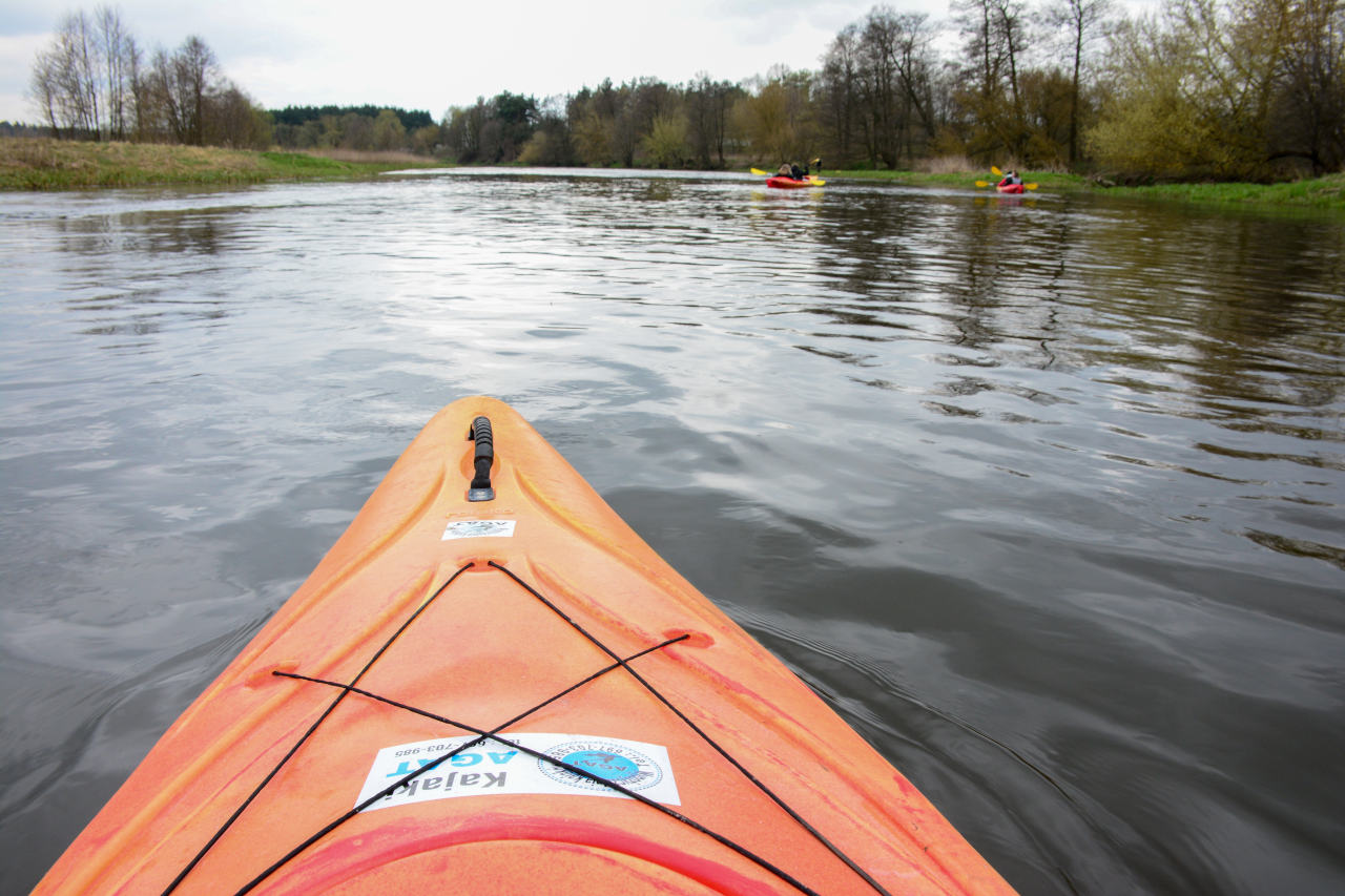 Spływy Kajakowe dla Szkół Wkrą: Niezapomniana Przygoda i Edukacja na Łonie Natury