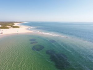 Władysławowo plaże: kąpieliska strzeżone i dzikie, zasady bezpieczeństwa i plan wypoczynku